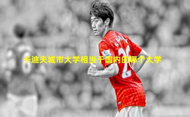 卡迪夫城市大学相当于国内的哪个大学